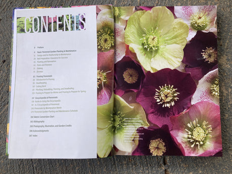 The Well Tended Perennial Garden