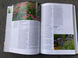 The Well Tended Perennial Garden
