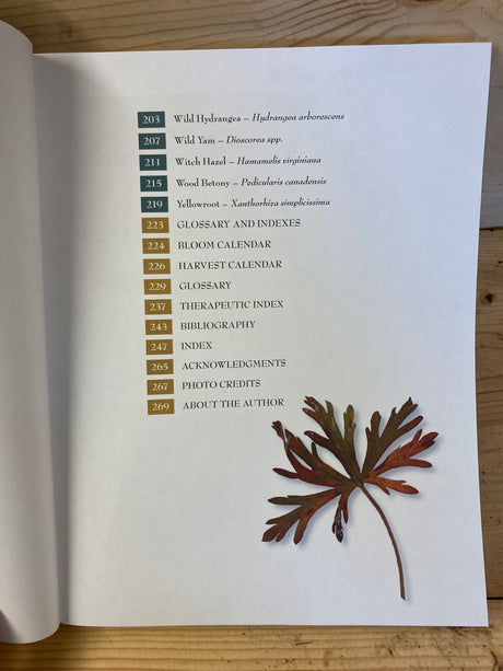 Medicinal Plants of the Southern Appalachians - Book for Sale
