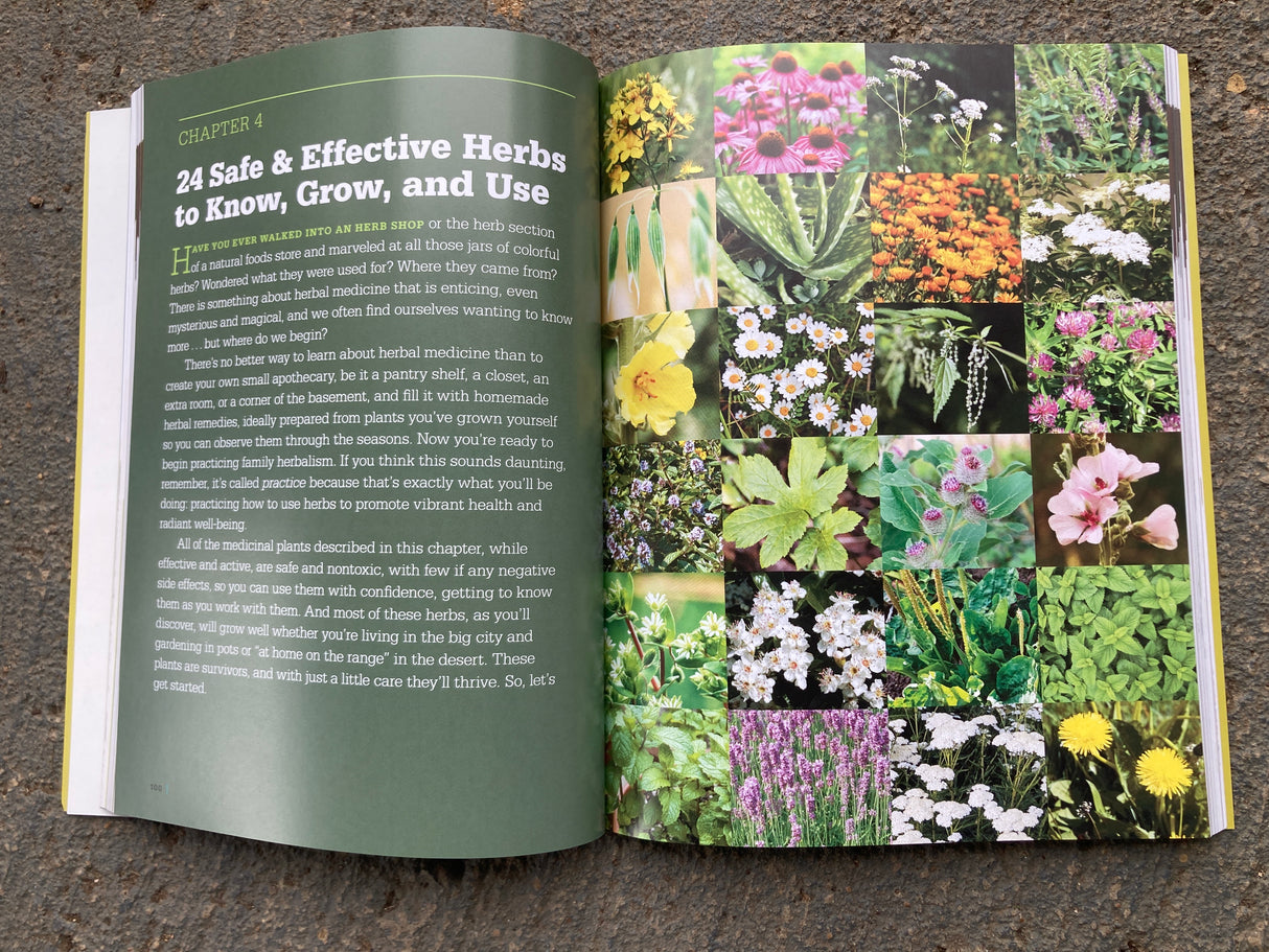 Medicinal Herbs: A Beginner's Guide