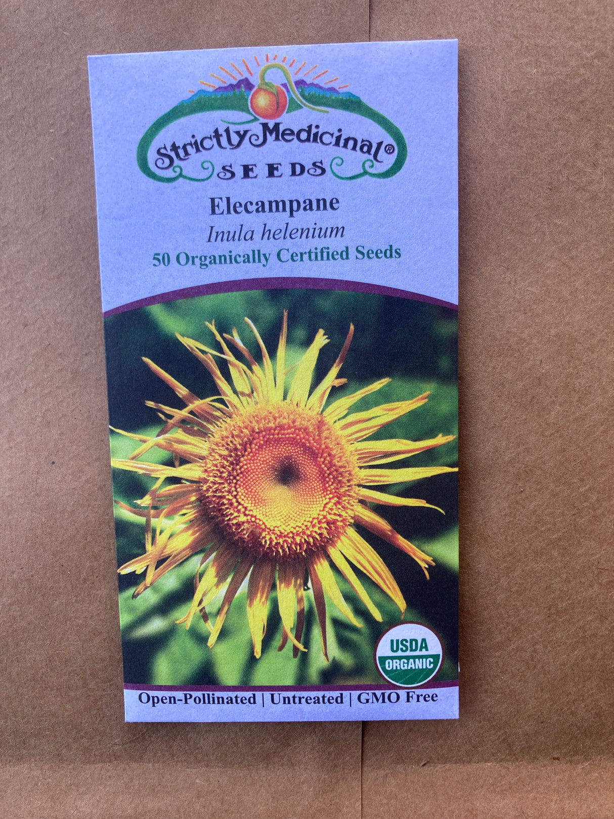 Seeds Elecampane