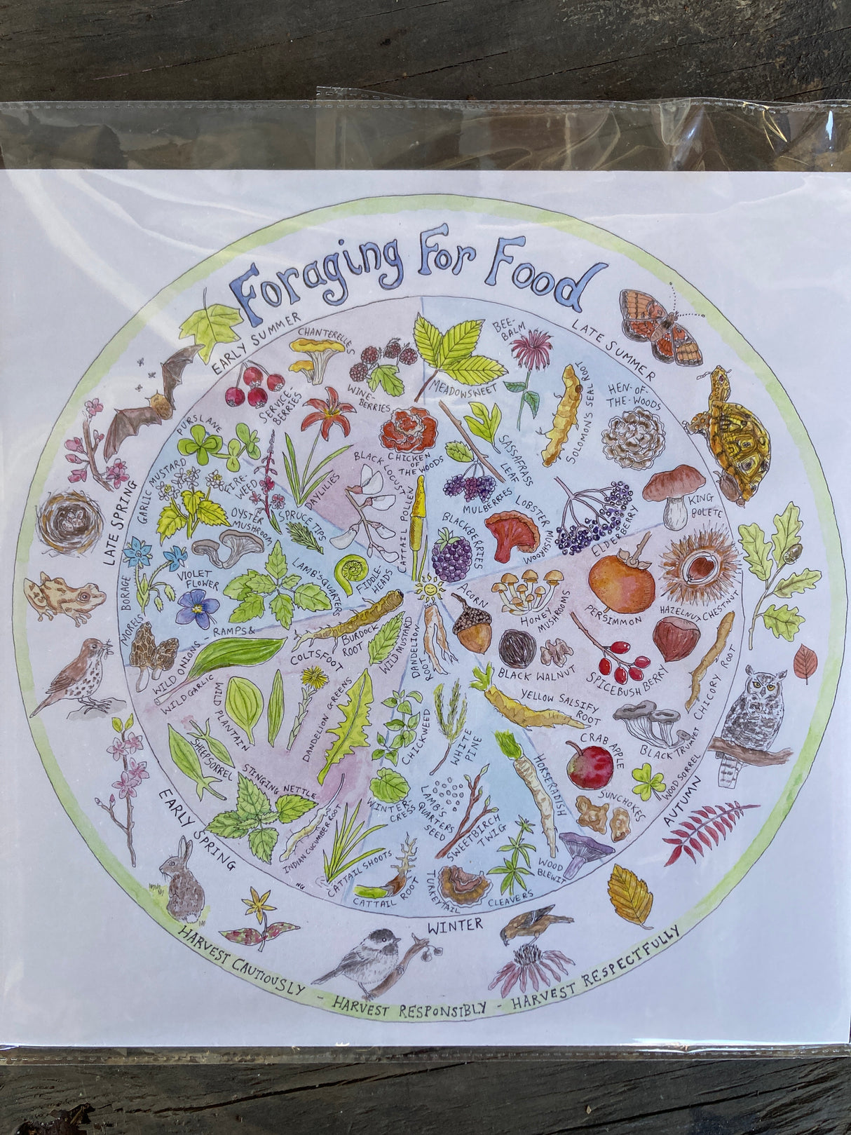 Foraging wheel