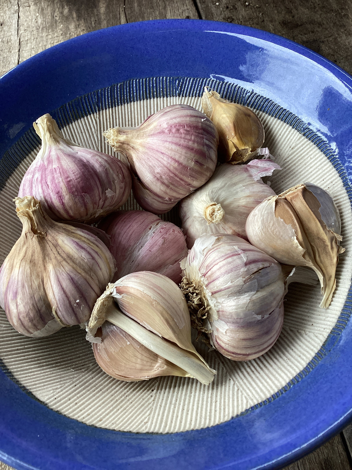 Purple Glazer, Hardneck, Seed Garlic