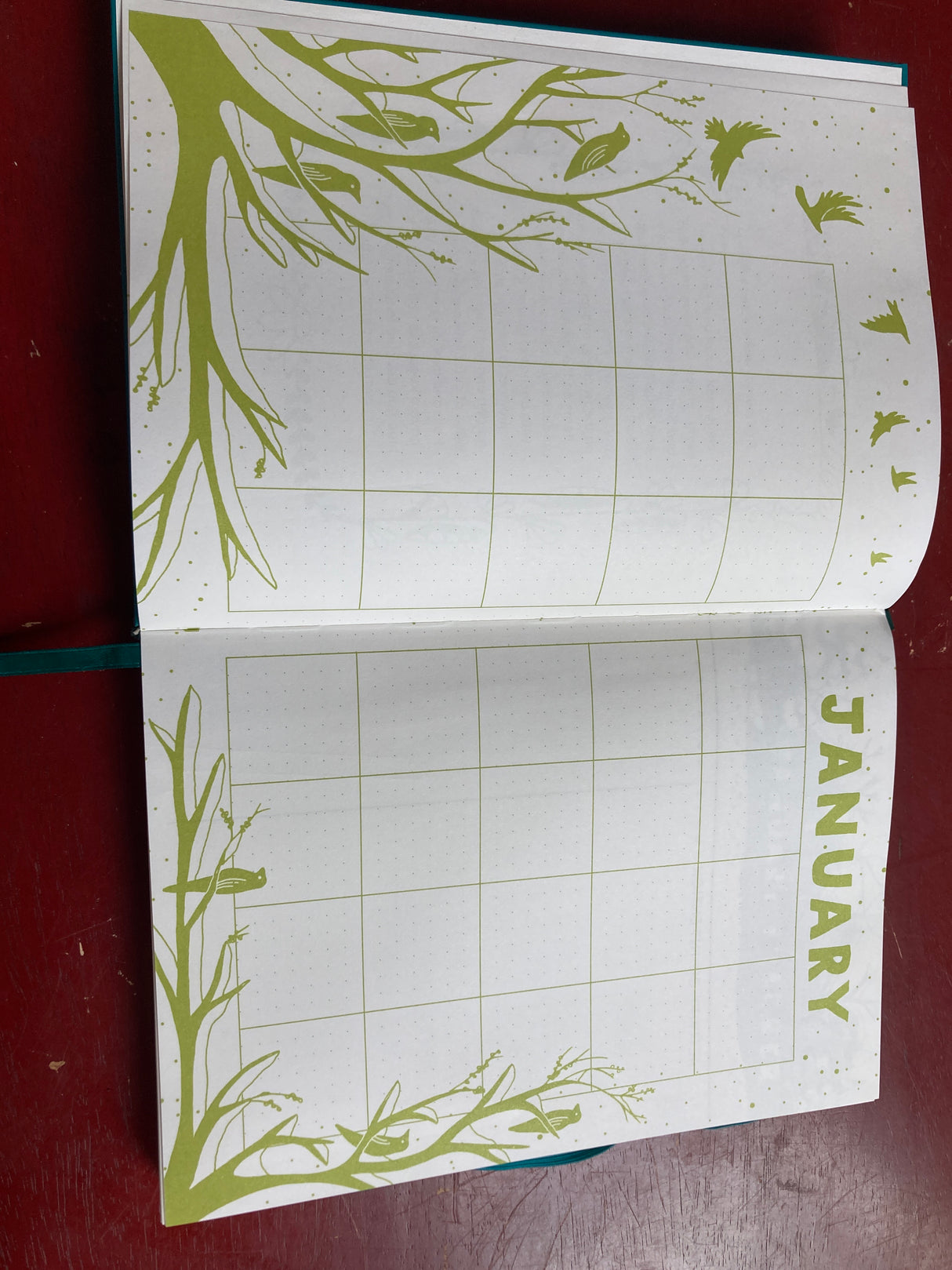 A Year in the Garden Journal