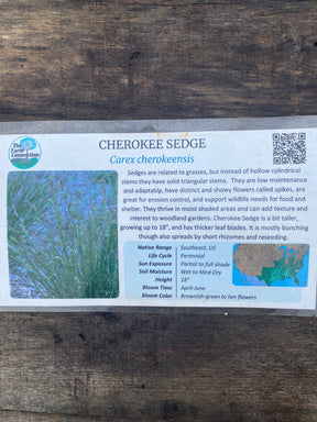 Cherokee Sedge Plant Details