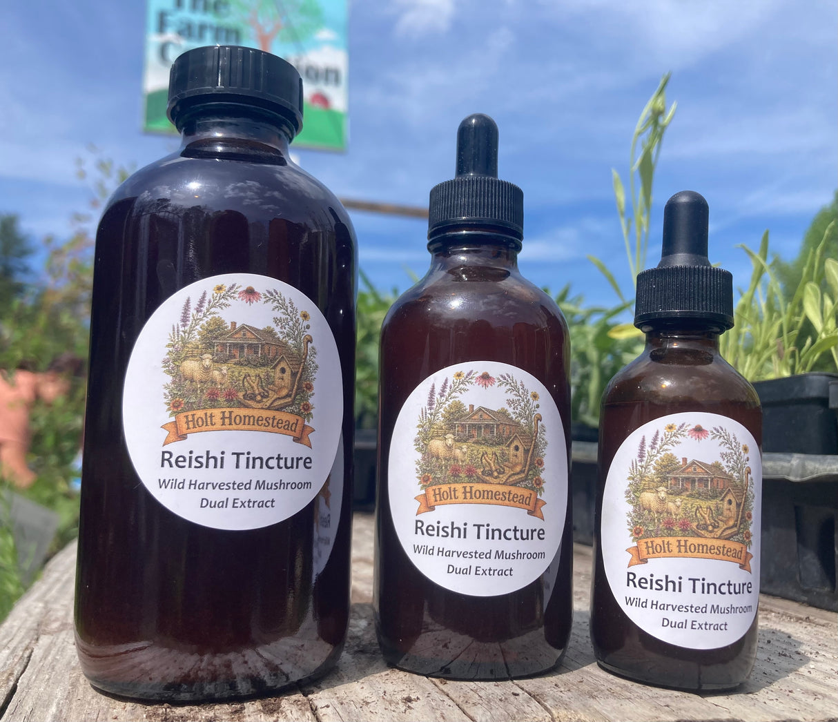 Reishi Tincture