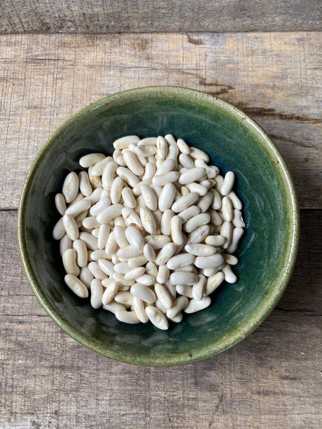 Seeds, Bean, Blue Lake 274