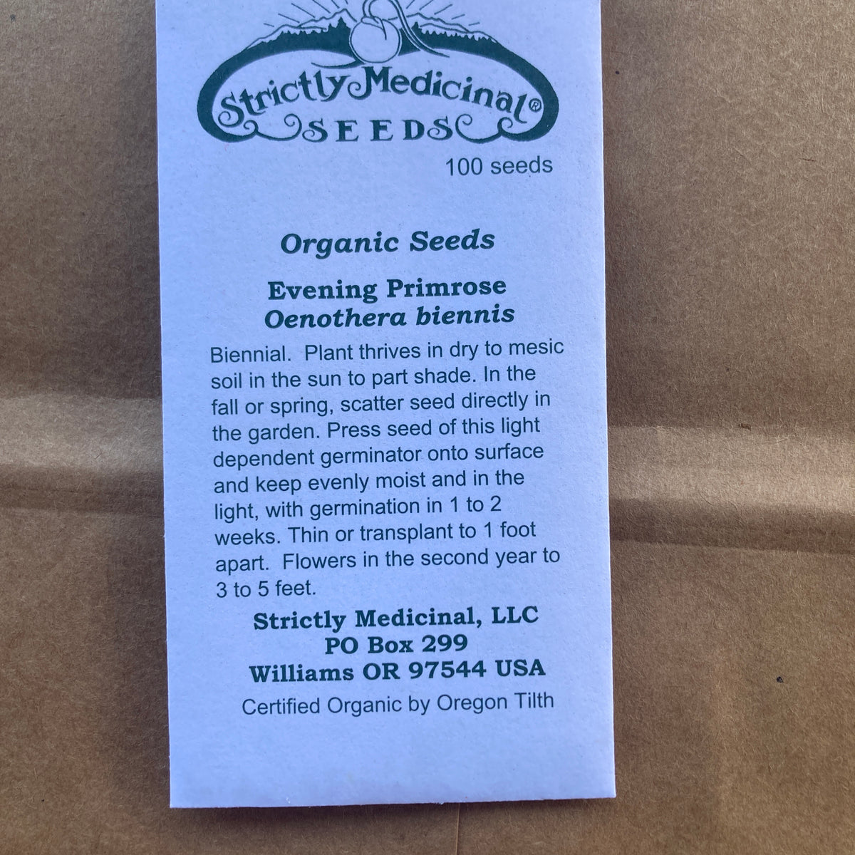 Seed Packet, Evening Primrose For Sale – The Farm Connection