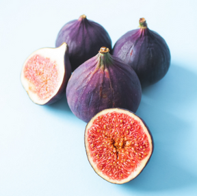 LSU Purple Fig | Bare Root Tree for Sale