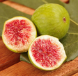Little Ruby Fig Bare Root Tree for Sale