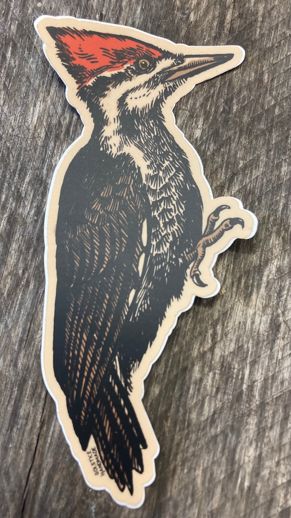 Pileated Woodpecker Sticker