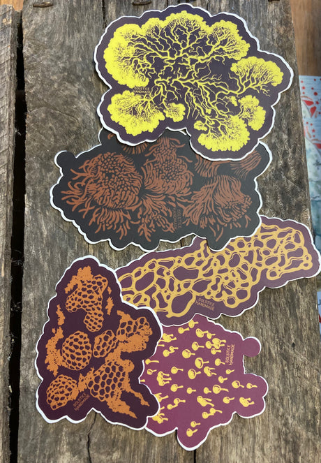 Slime Mold Sticker Set