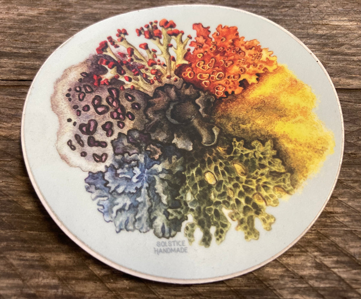 Lichen Spectrum Sticker