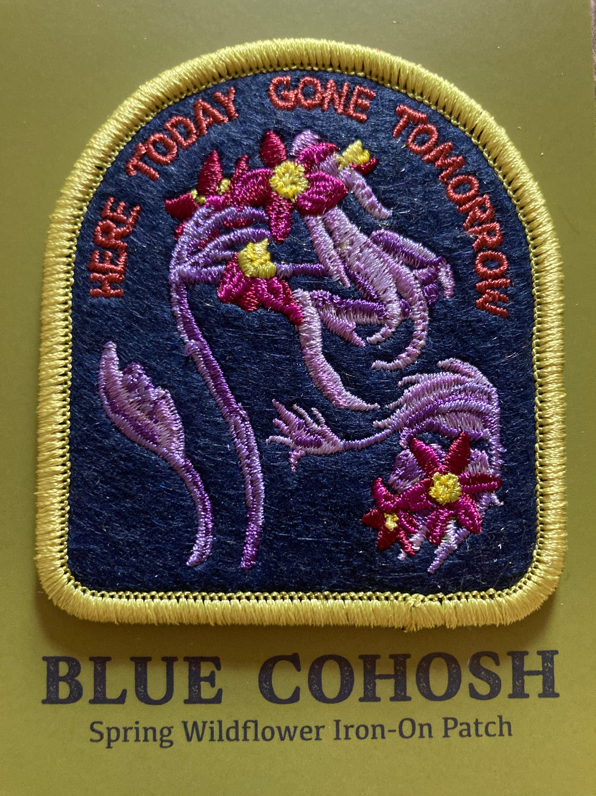 Blue Cohosh Patch