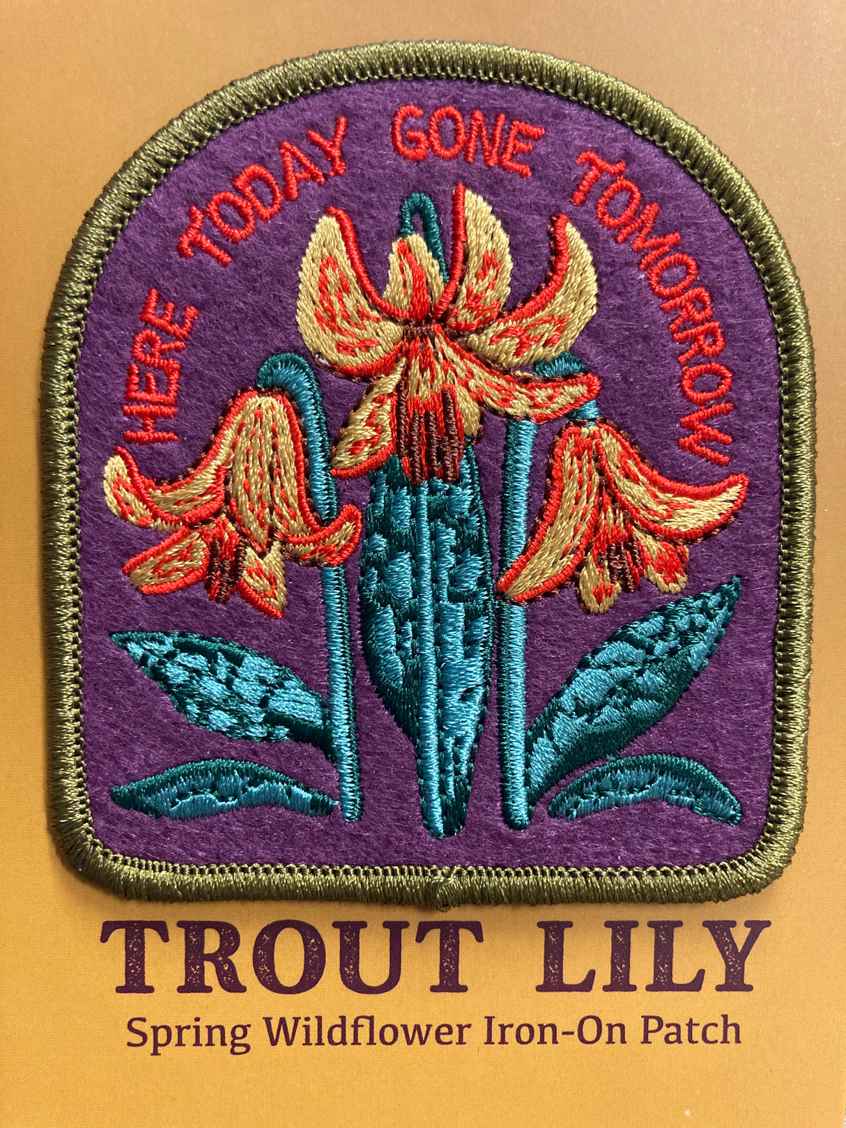Trout Lily Patch