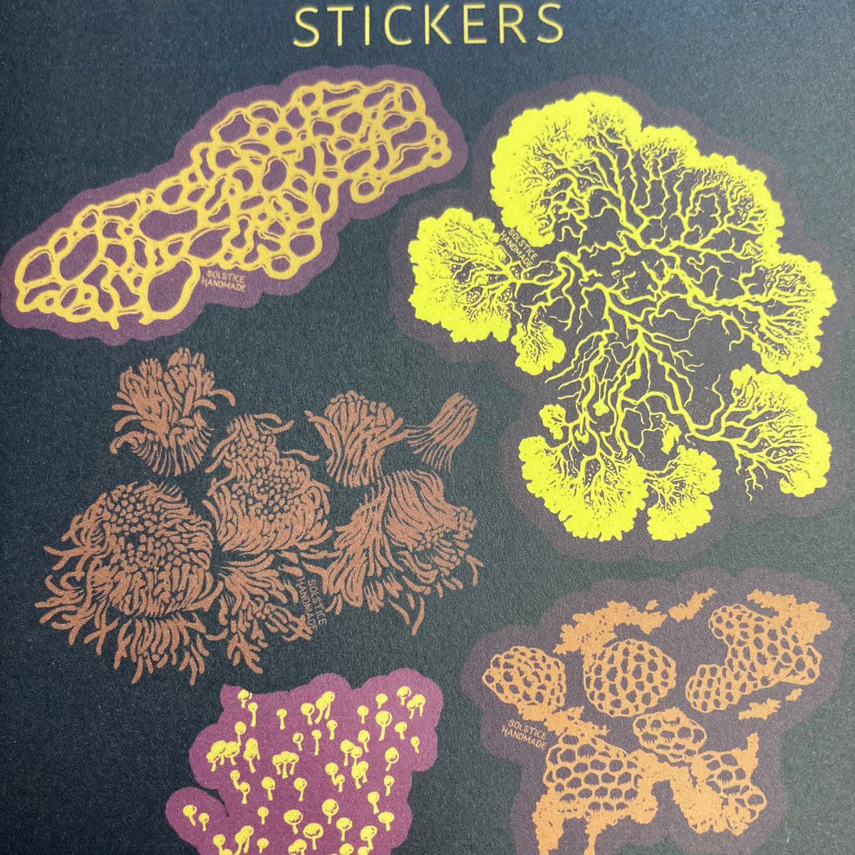 Slime Mold Sticker Set – The Farm Connection