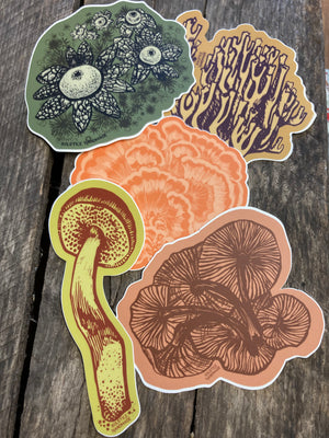 Fungi Sticker Set