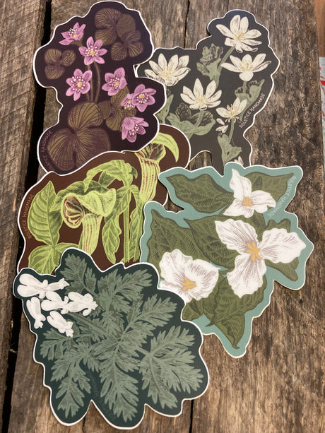 Spring Wildflower Sticker Set