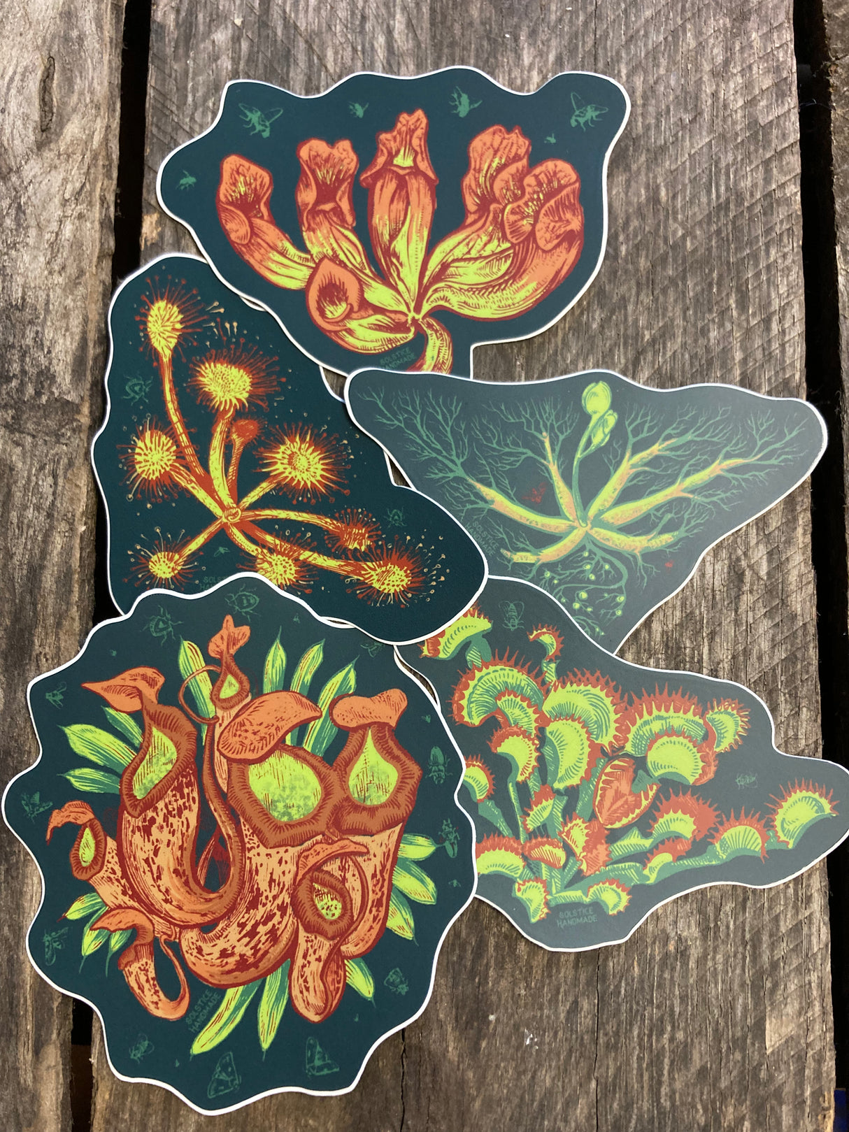 Carnivorous Plants Sticker Set