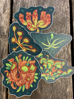 Carnivorous Plants Sticker Set