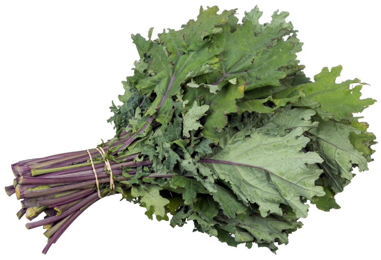 Kale, Red Russian