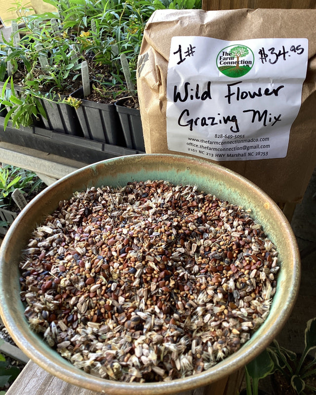 nc wildflower seeds Native Wildflower Grazing Seed Mix – The Farm Connection