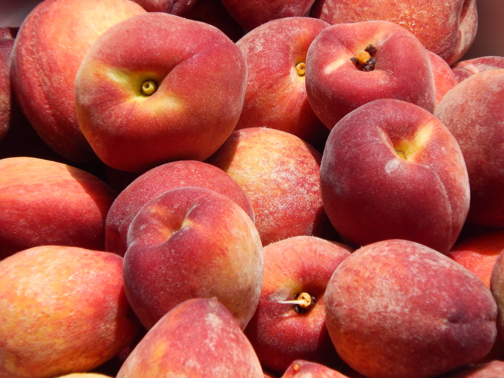 Red Haven Peach Tree For Sale