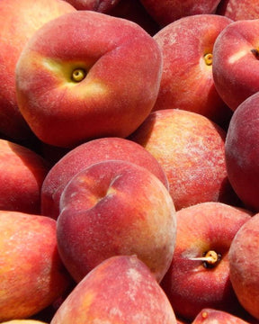 Red Haven Bare Root Peach Tree For Sale