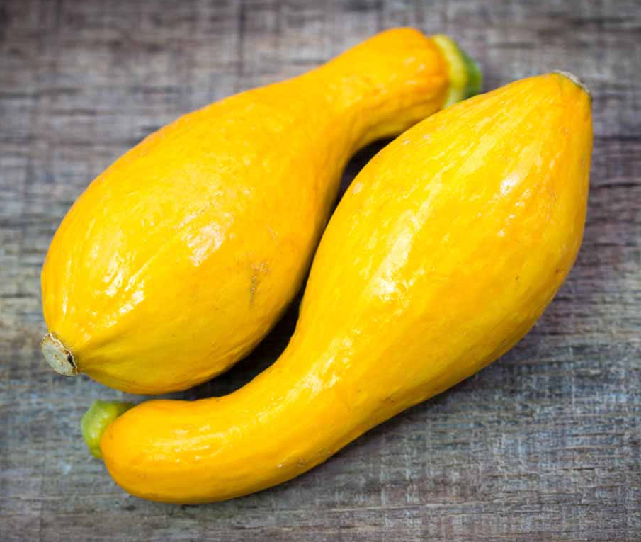 Seeds, Summer Squash, Crookneck