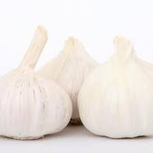 Transylvanian softneck seed garlic bulbs with papery skins and purple streaks.