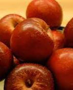 Cinnamon Spice Apple Bare Root Fruit Tree For Sale