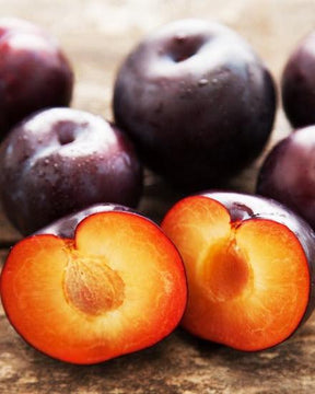 Spring Satin Bare Root Plumcot Tree For Sale