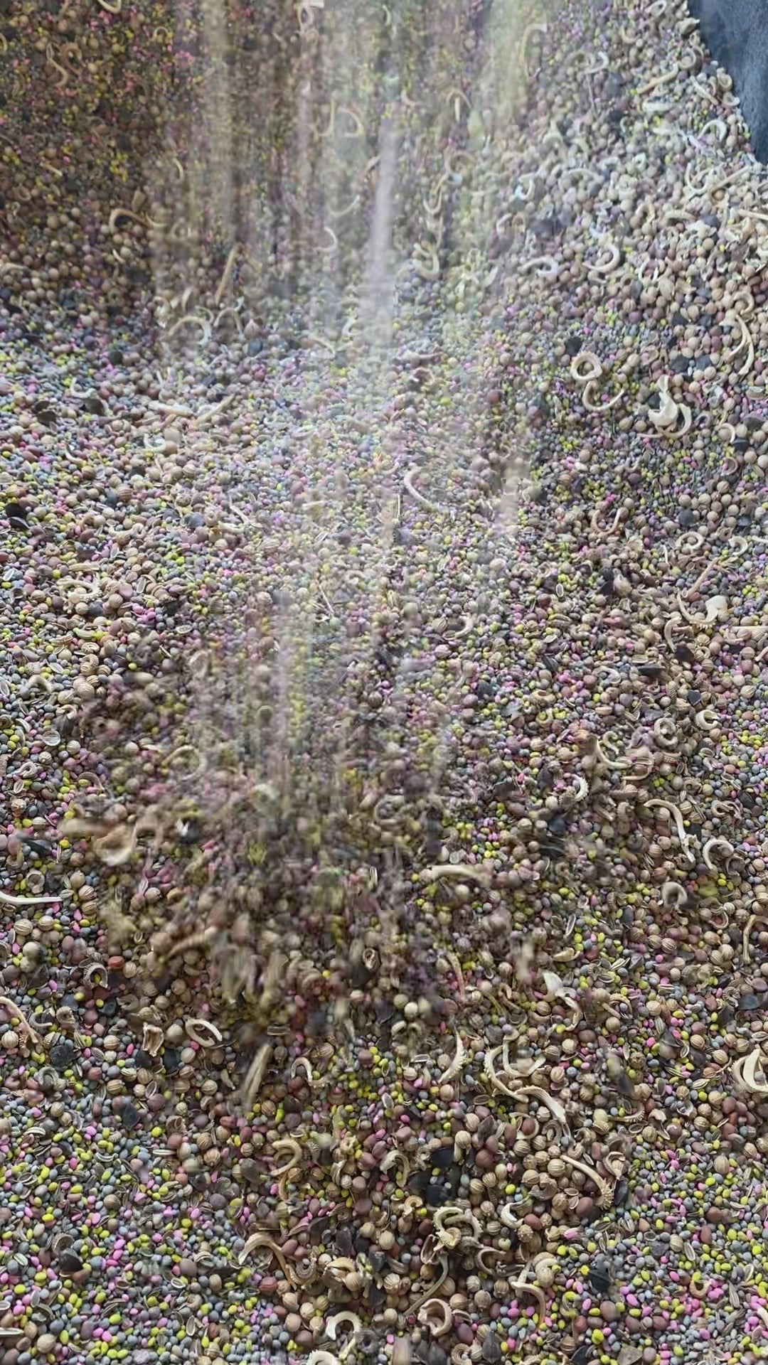 Beneficials Blend Seed Mix For Sale Video