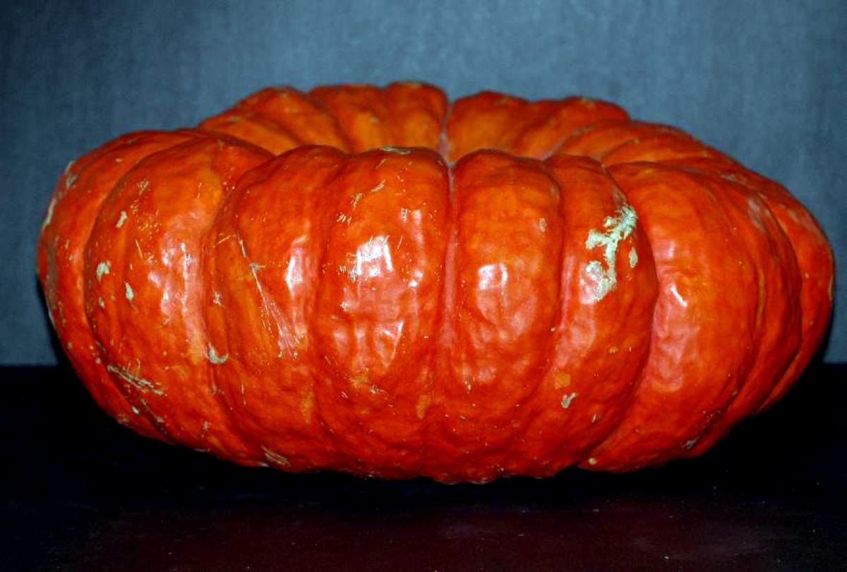 Seeds, Pumpkin Rouge Vif D'Etampes (Cinderella)