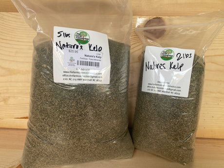 OG Thorvin Nature's Kelp organic amendment for micronutrients, compost activation, and plant resilience